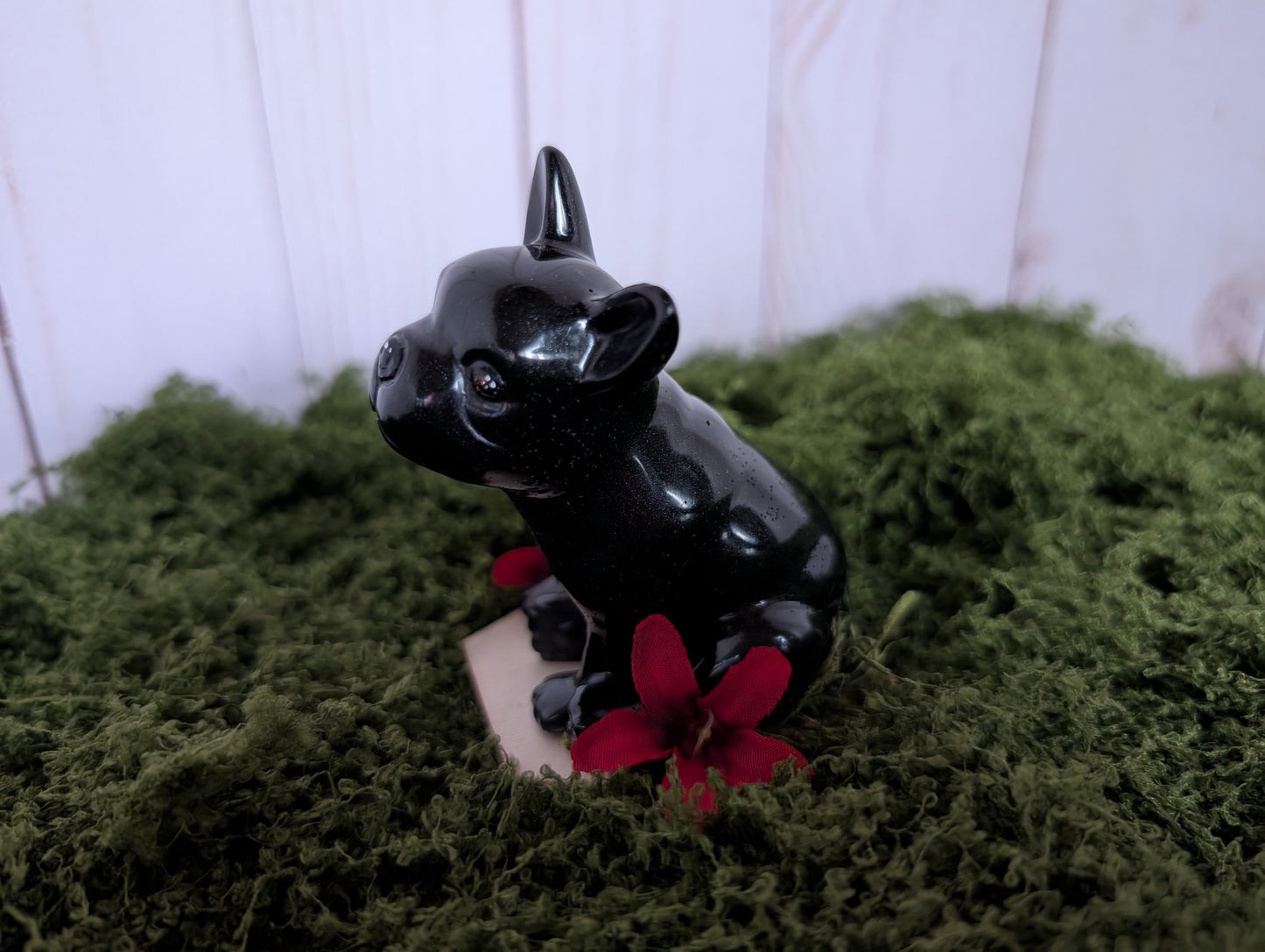 Black Frenchie Puppy