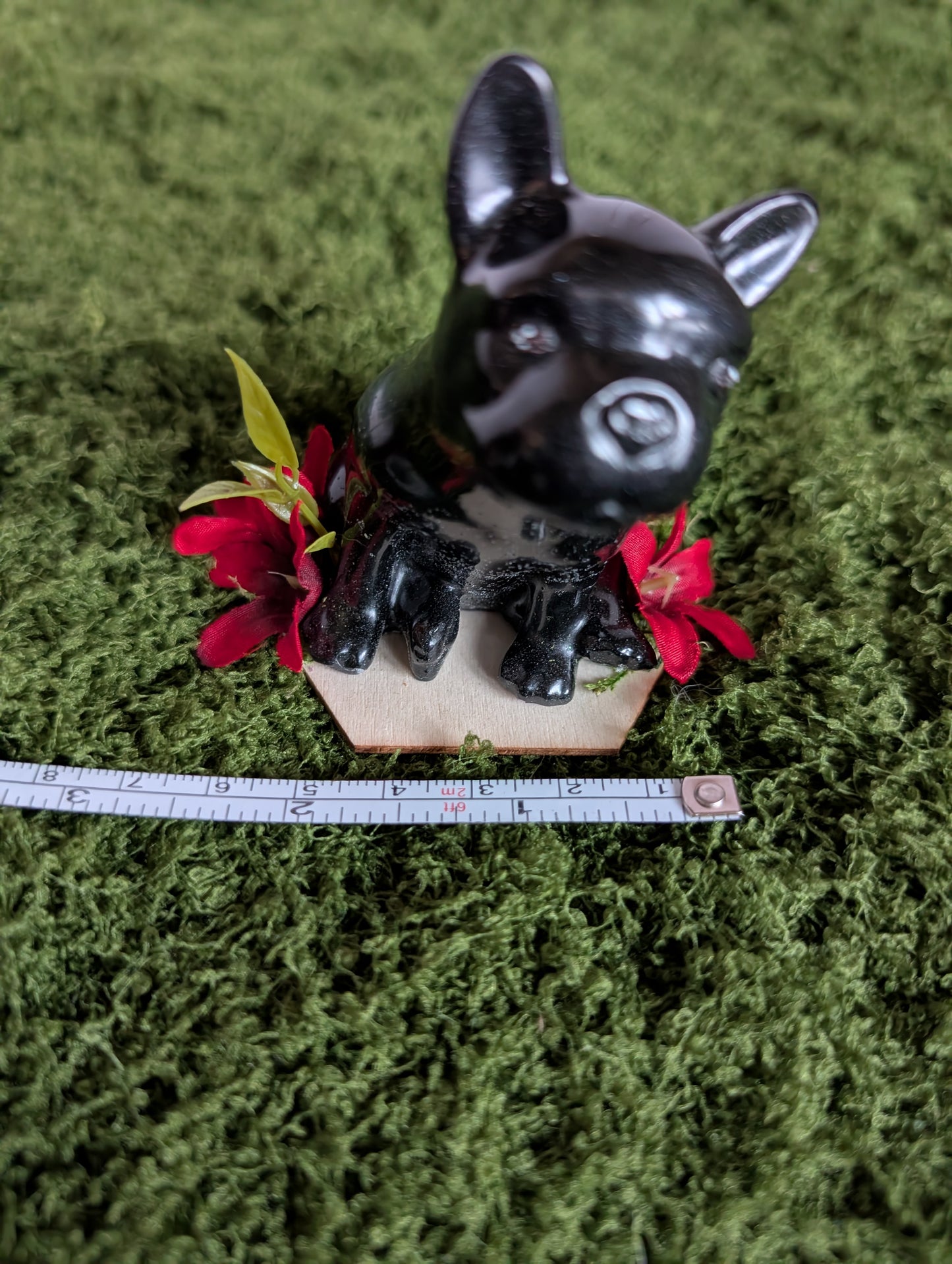 Black Frenchie Puppy