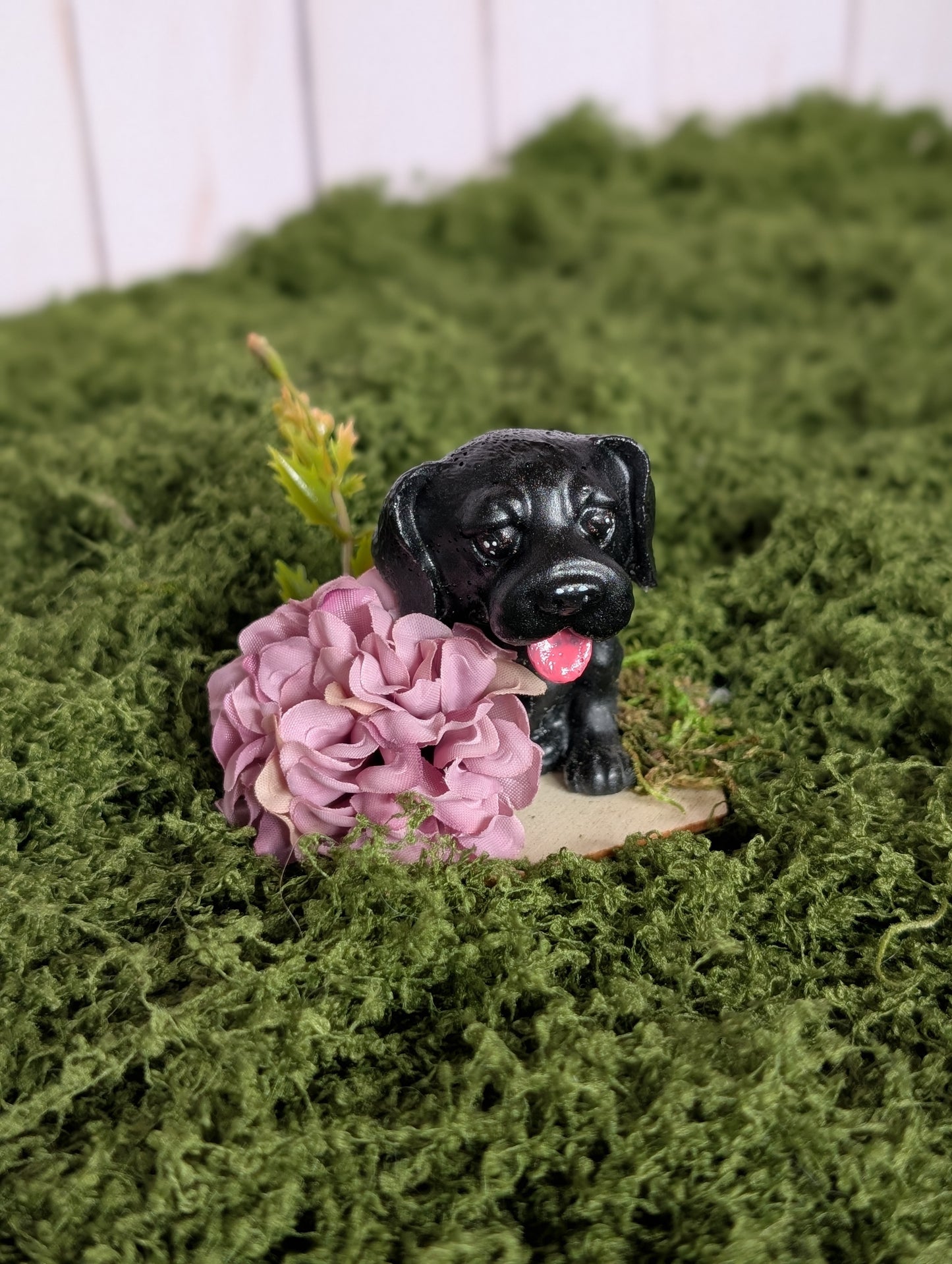 Black Floppy Eared Pup