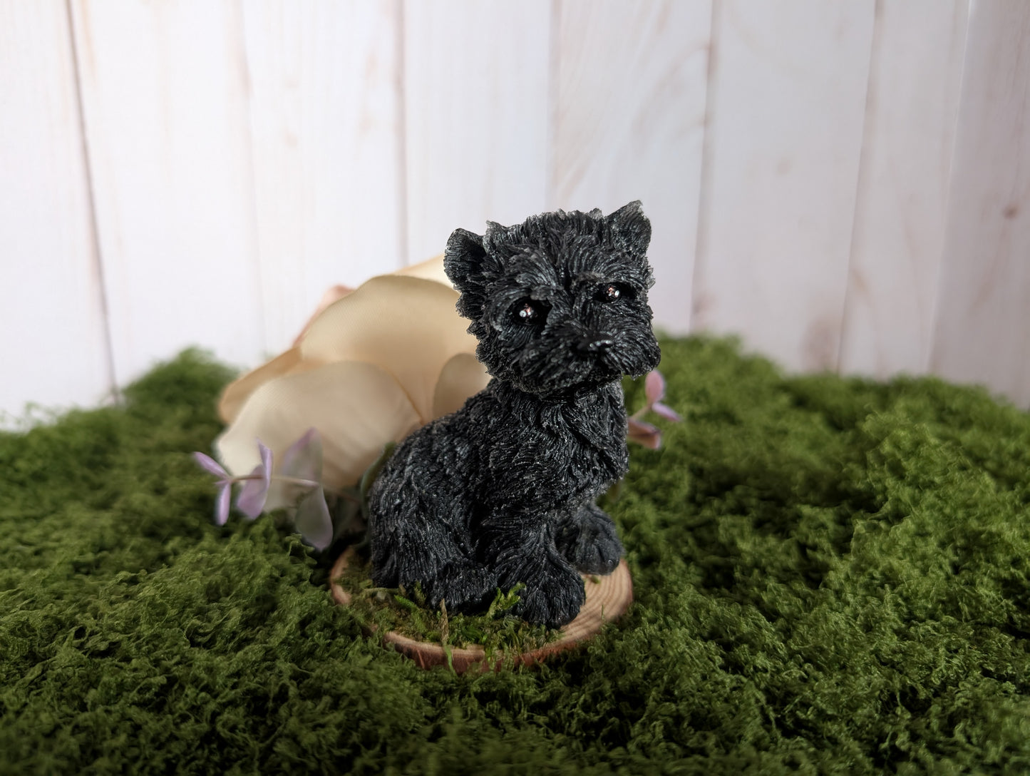 Black Terrier Puppy