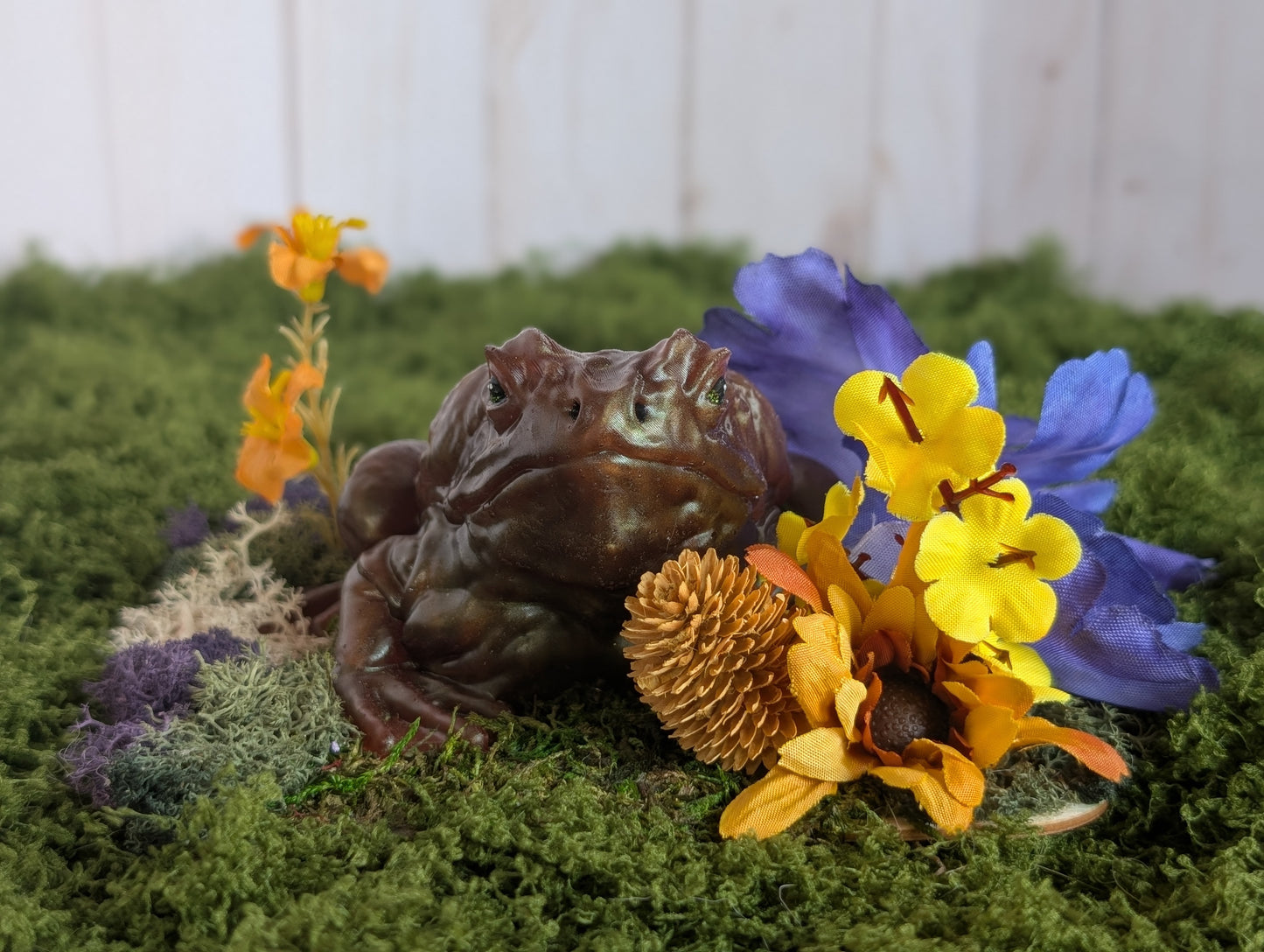 Brown Toad Garden