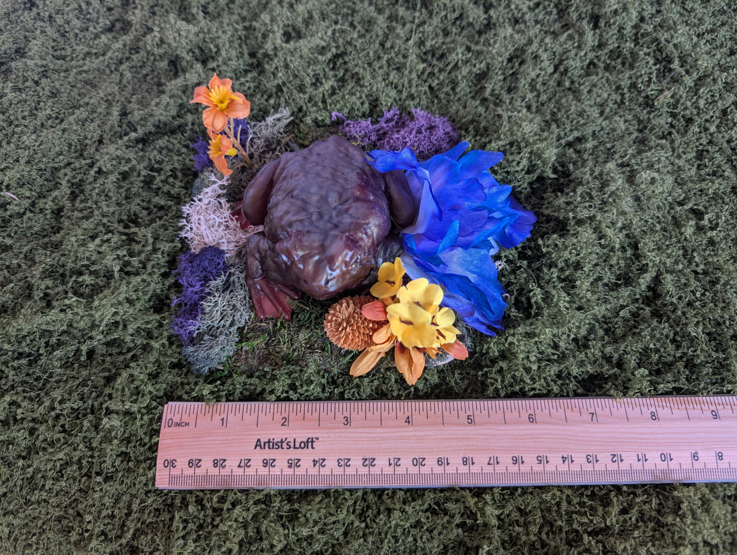 Brown Toad Garden