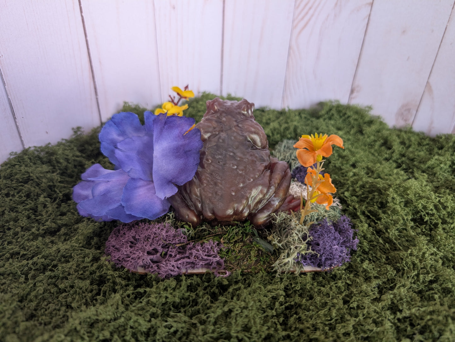 Brown Toad Garden