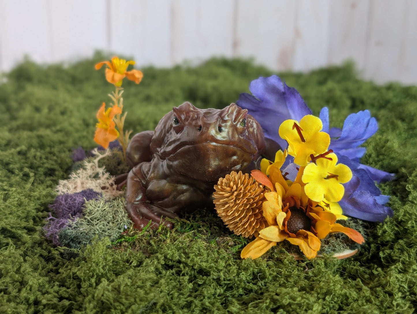 Brown Toad Garden