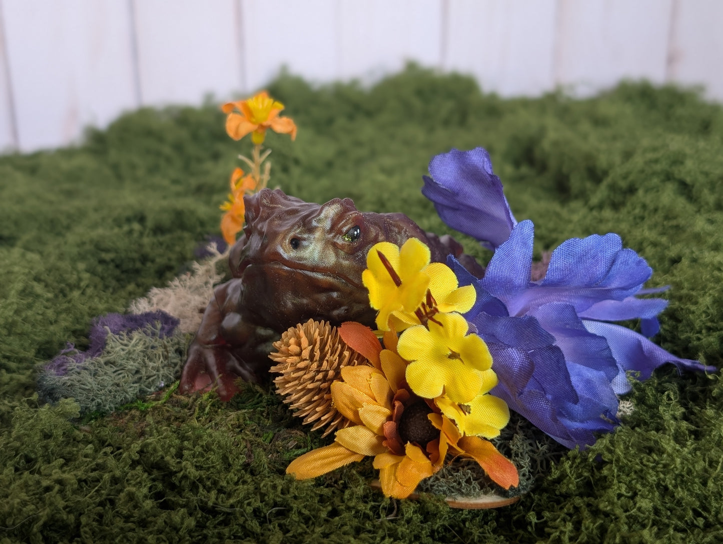 Brown Toad Garden
