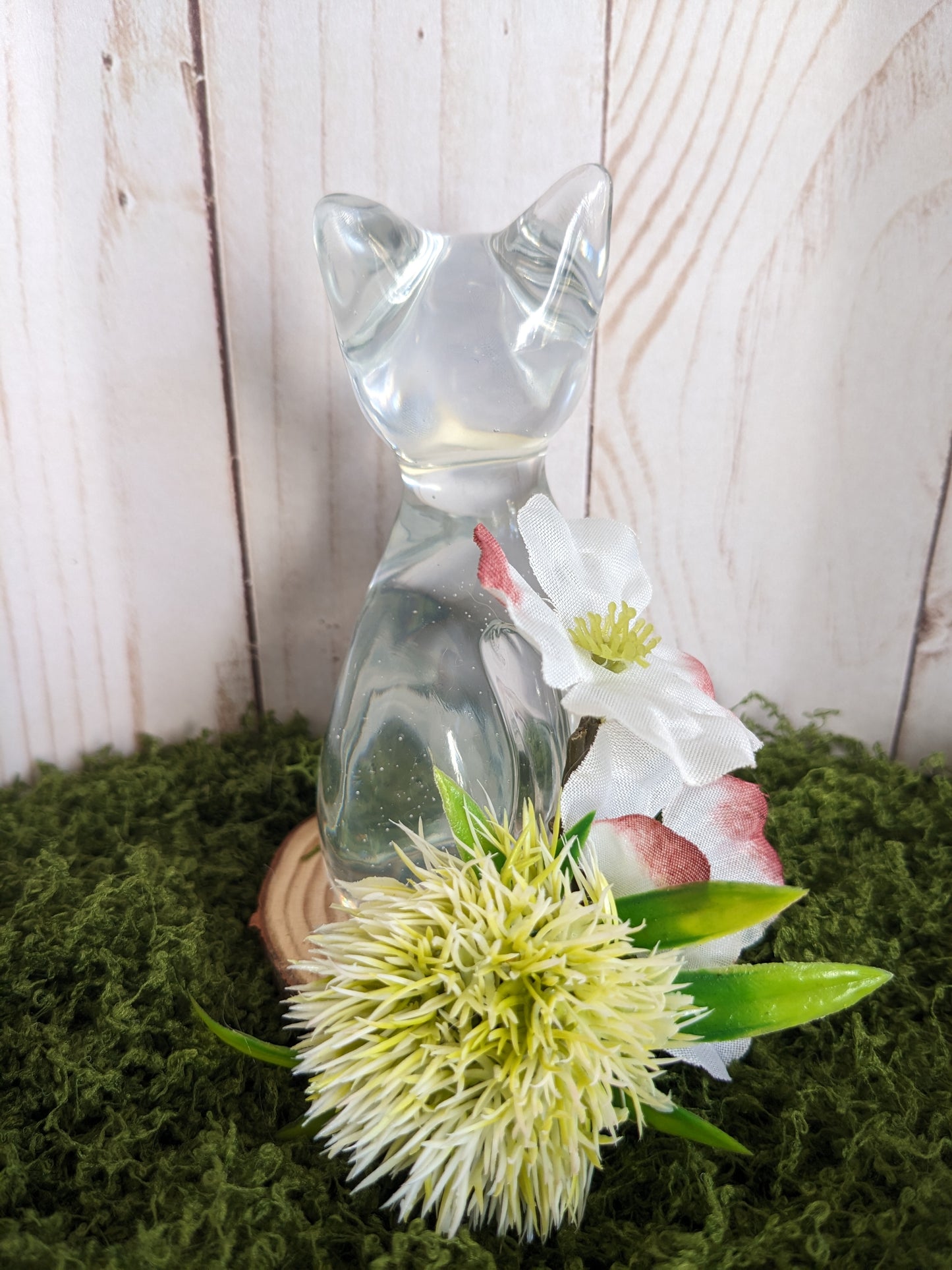 Clear Cat