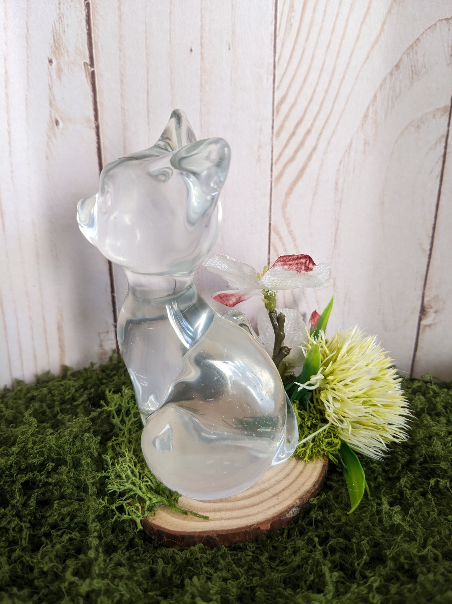 Clear Cat
