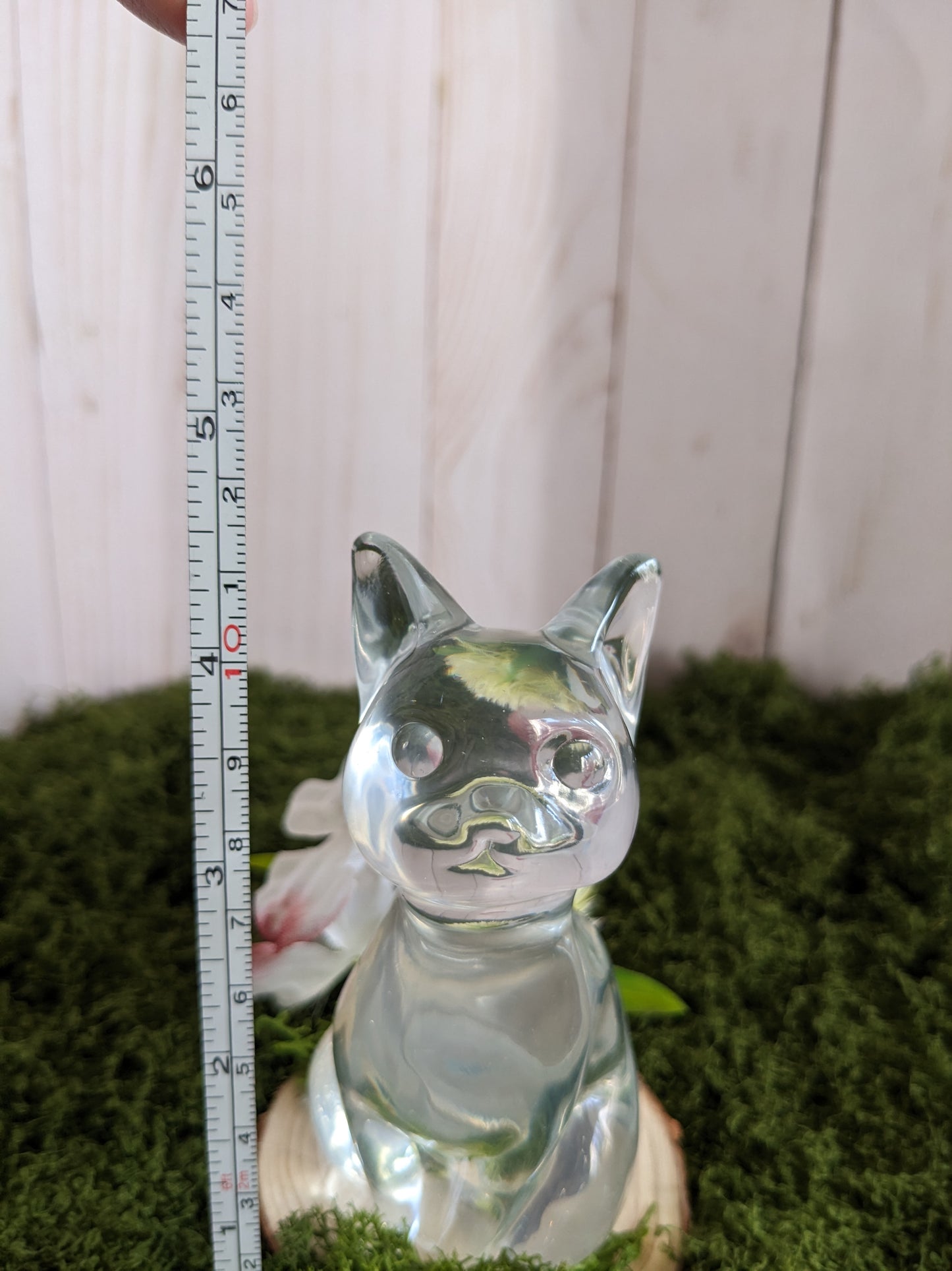 Clear Cat
