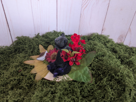 Fluffy Black Witch Kitty