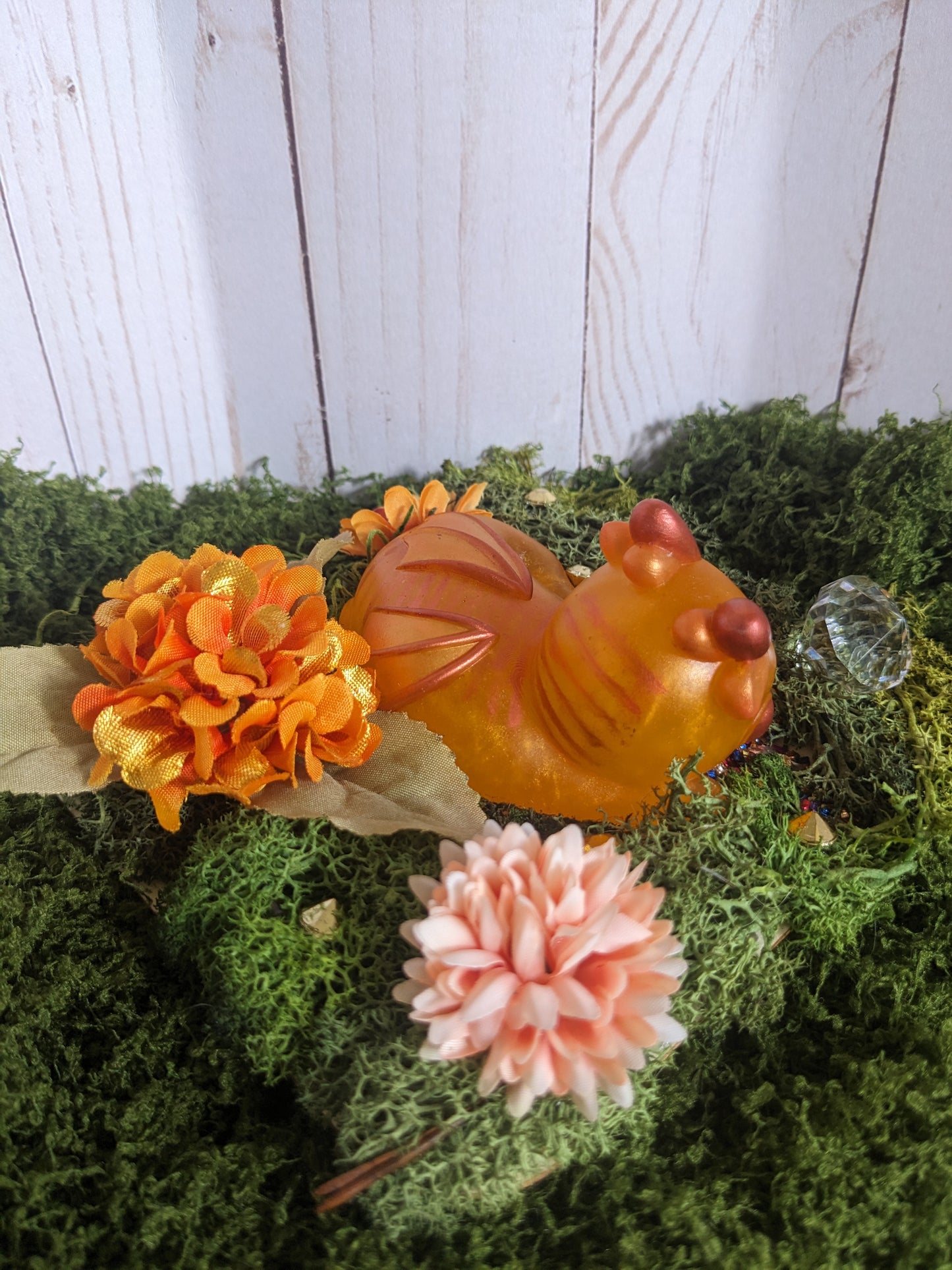 Ginger Cat Baby Dragon