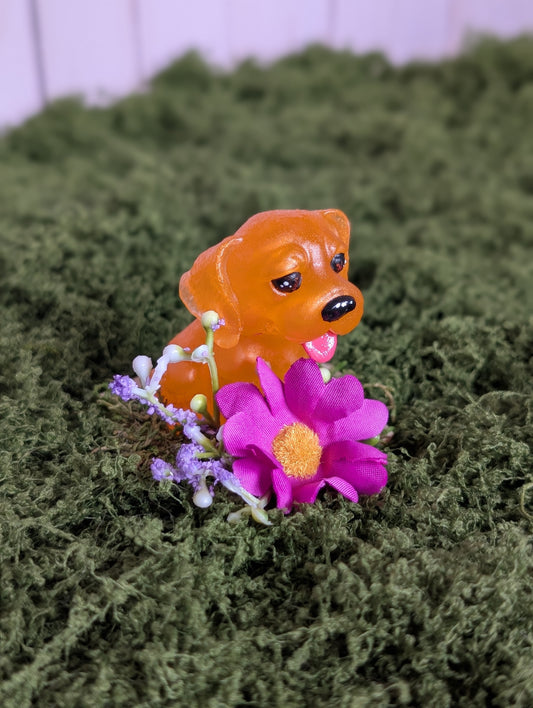 Ginger Floppy Eared Pup