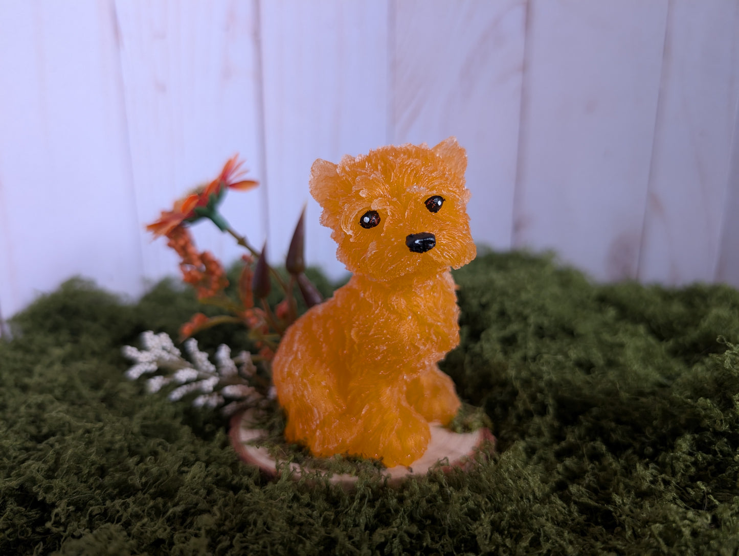 Ginger Terrier Puppy