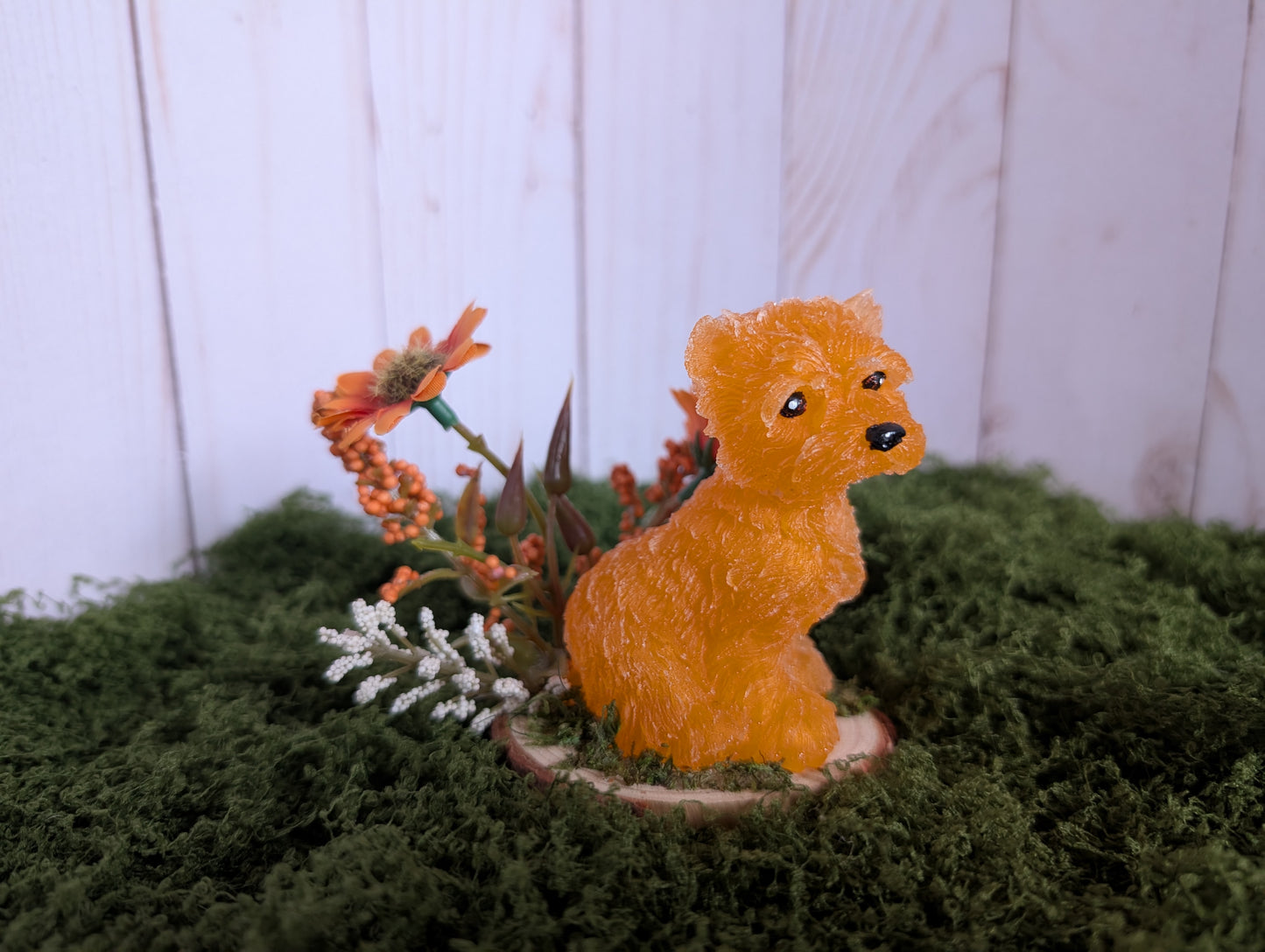 Ginger Terrier Puppy