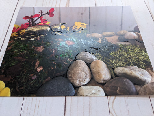 Japanese Rhinoceros Beetle 1 hand detailed 8x10 print