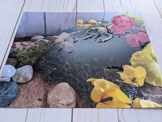 Japanese Rhinoceros Beetle 3 hand detailed 8x10 print