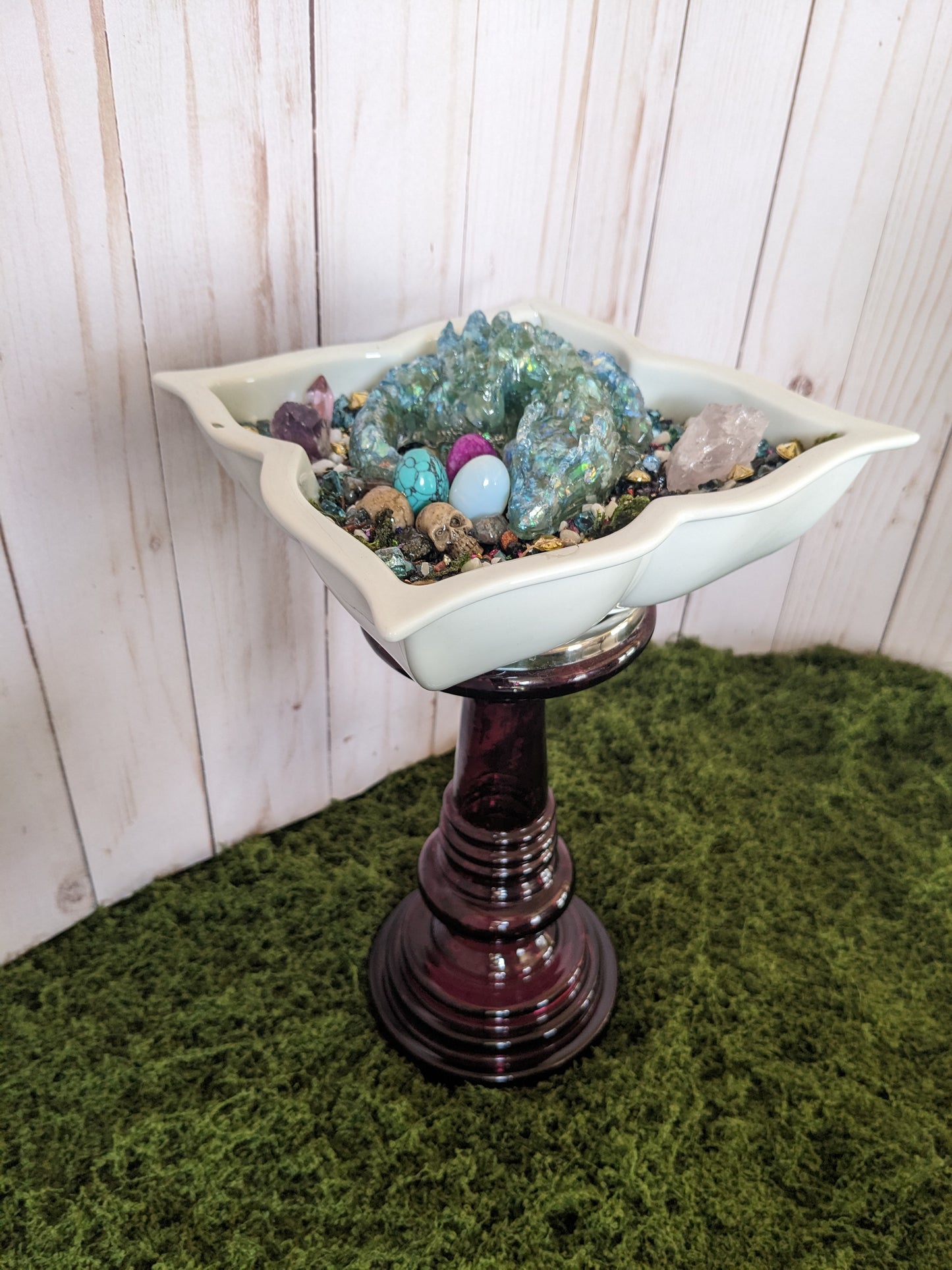 Blue Shell Dragon Den Medium
