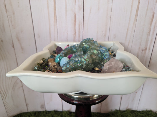 Blue Shell Dragon Den Medium