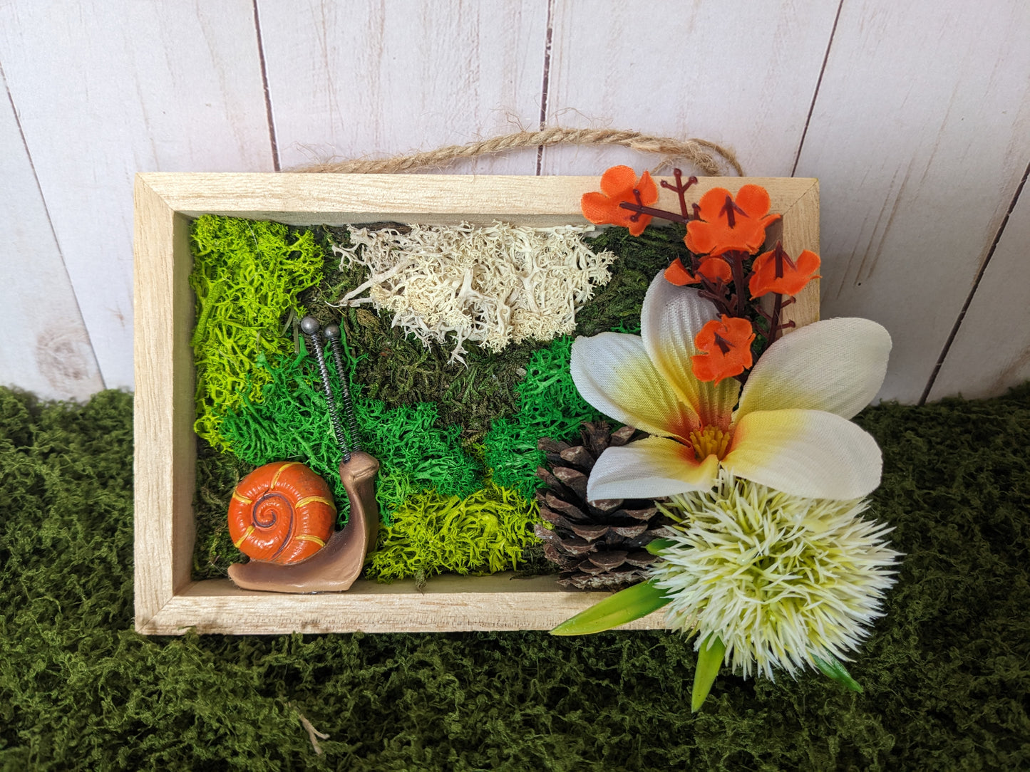 Hanging Mini Snail Garden