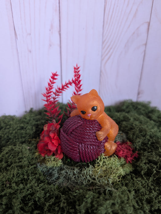 Red, Gold, & Ginger House Cat