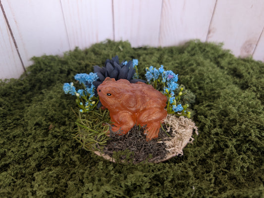 Small Bronze Toad Garden
