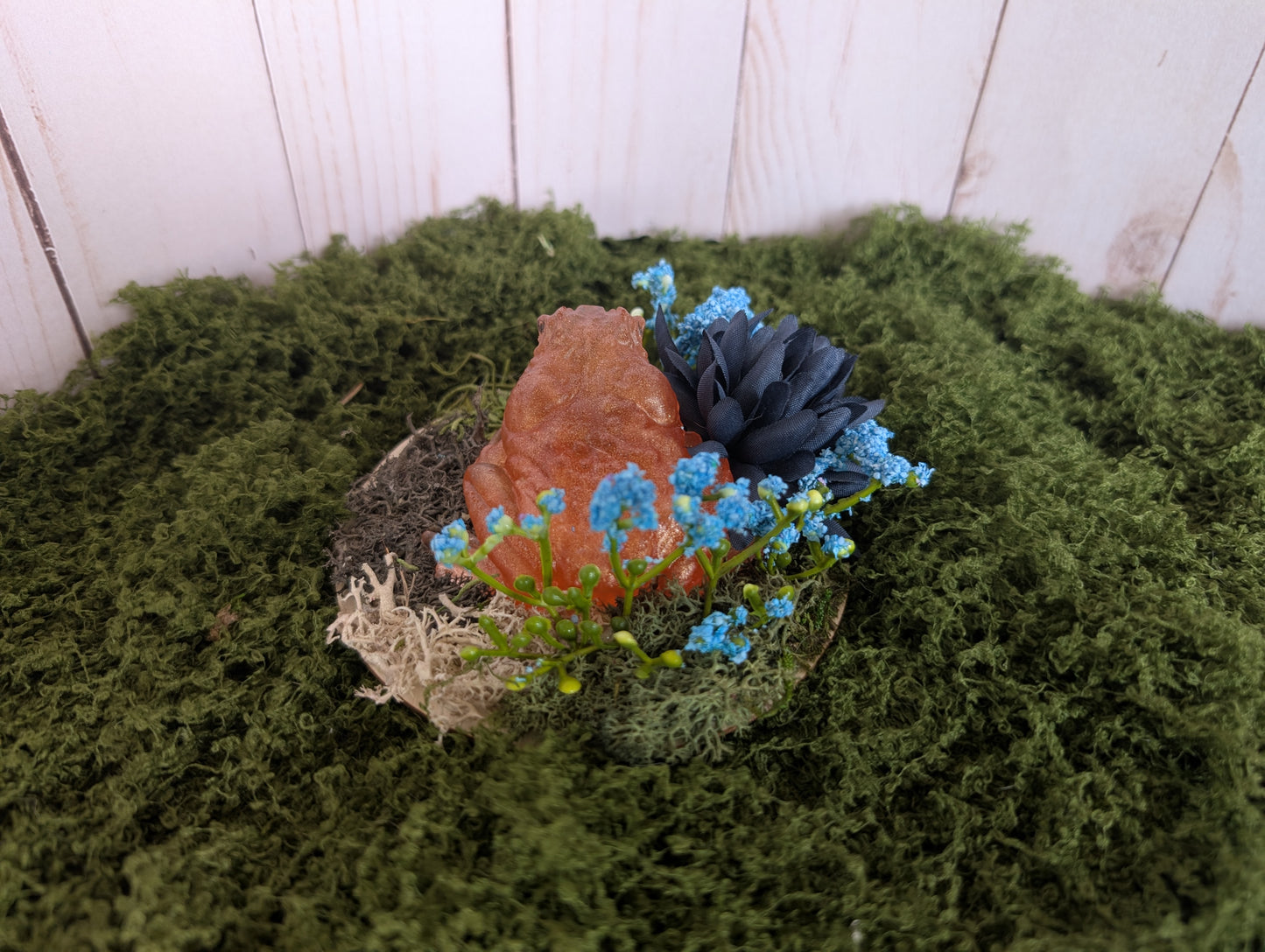 Small Bronze Toad Garden