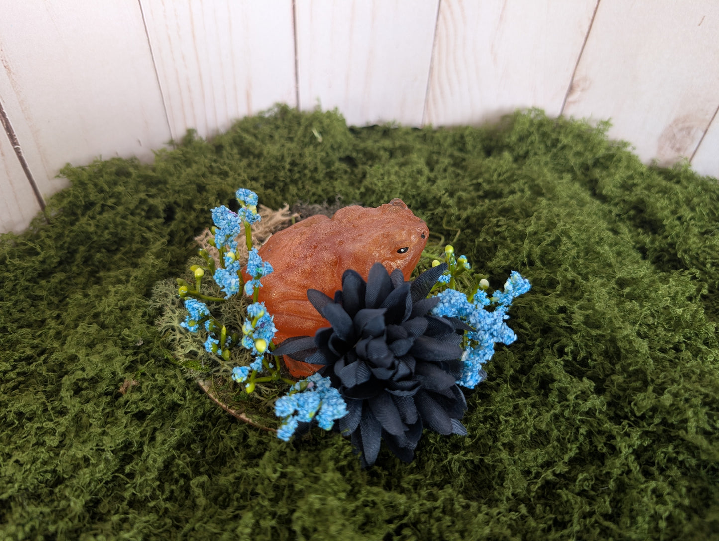 Small Bronze Toad Garden