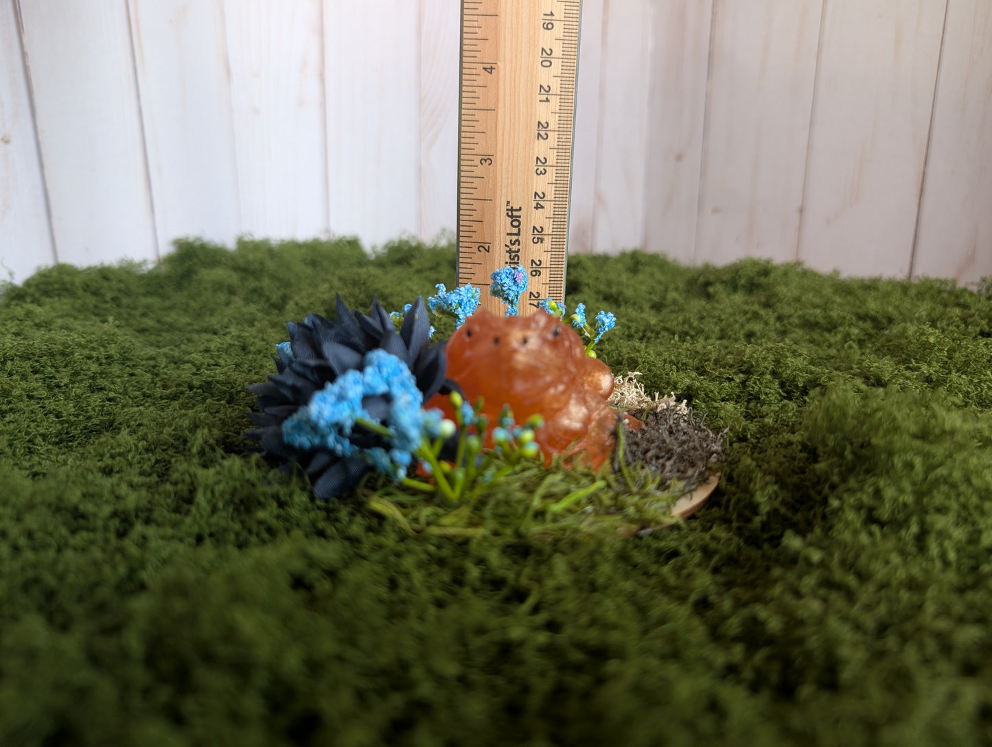 Small Bronze Toad Garden