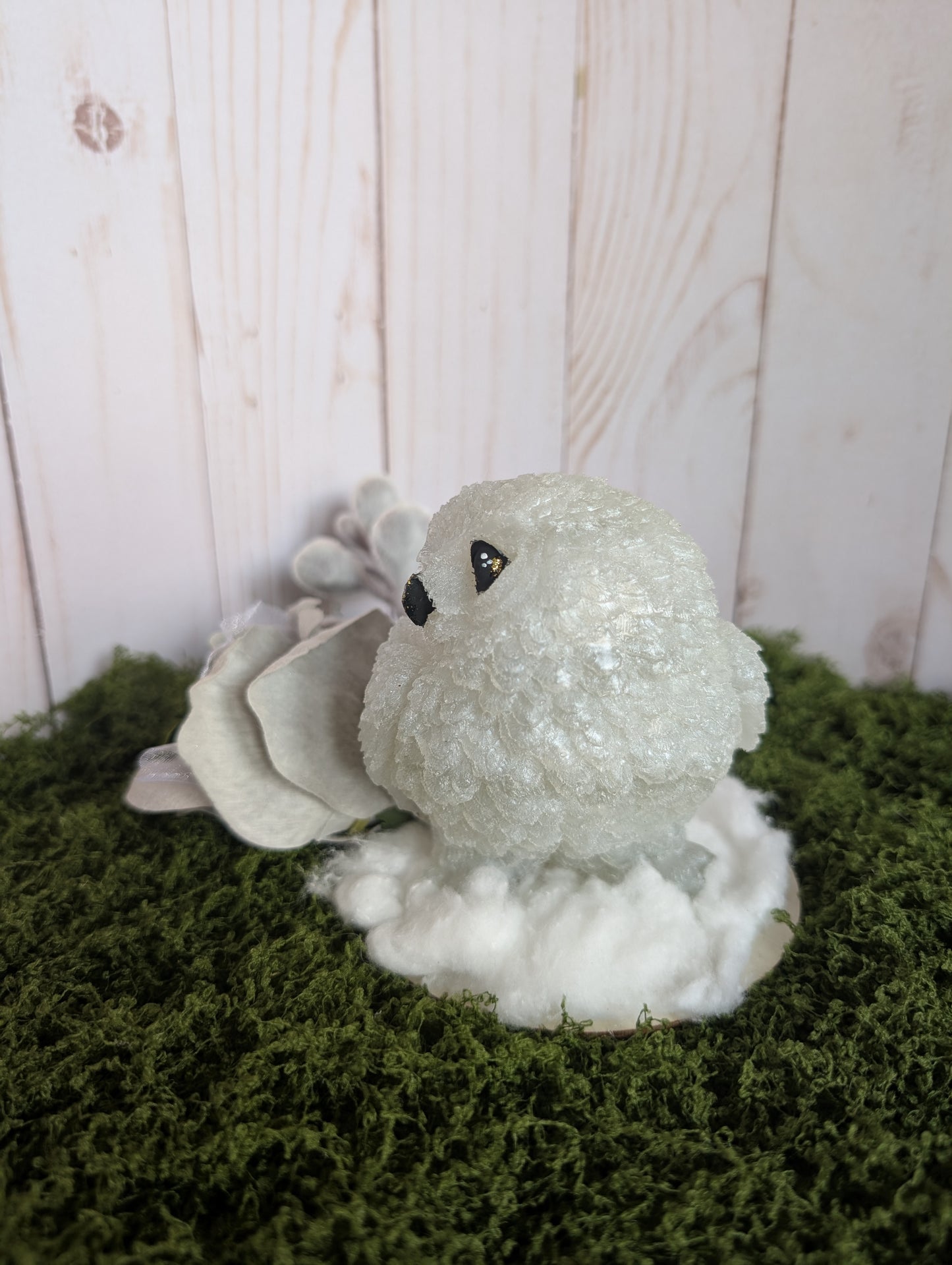Snowy Owl