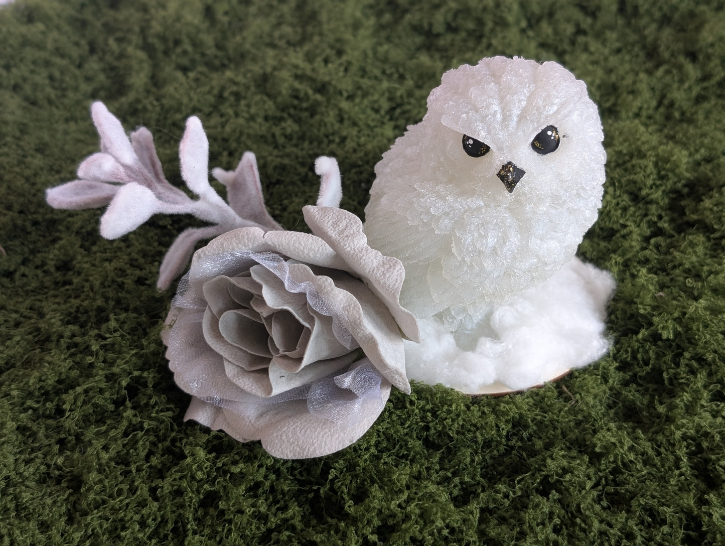 Snowy Owl