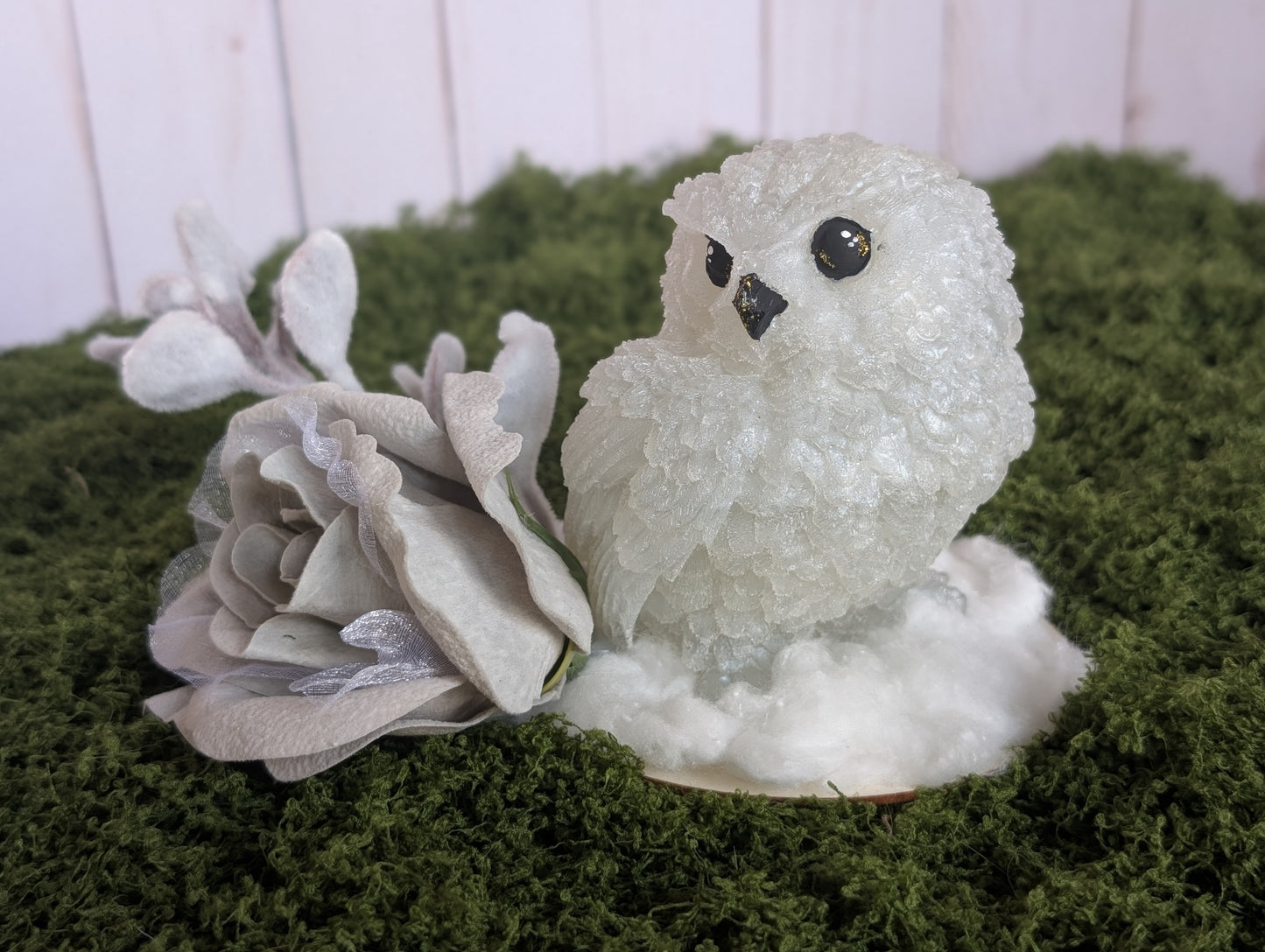 Snowy Owl