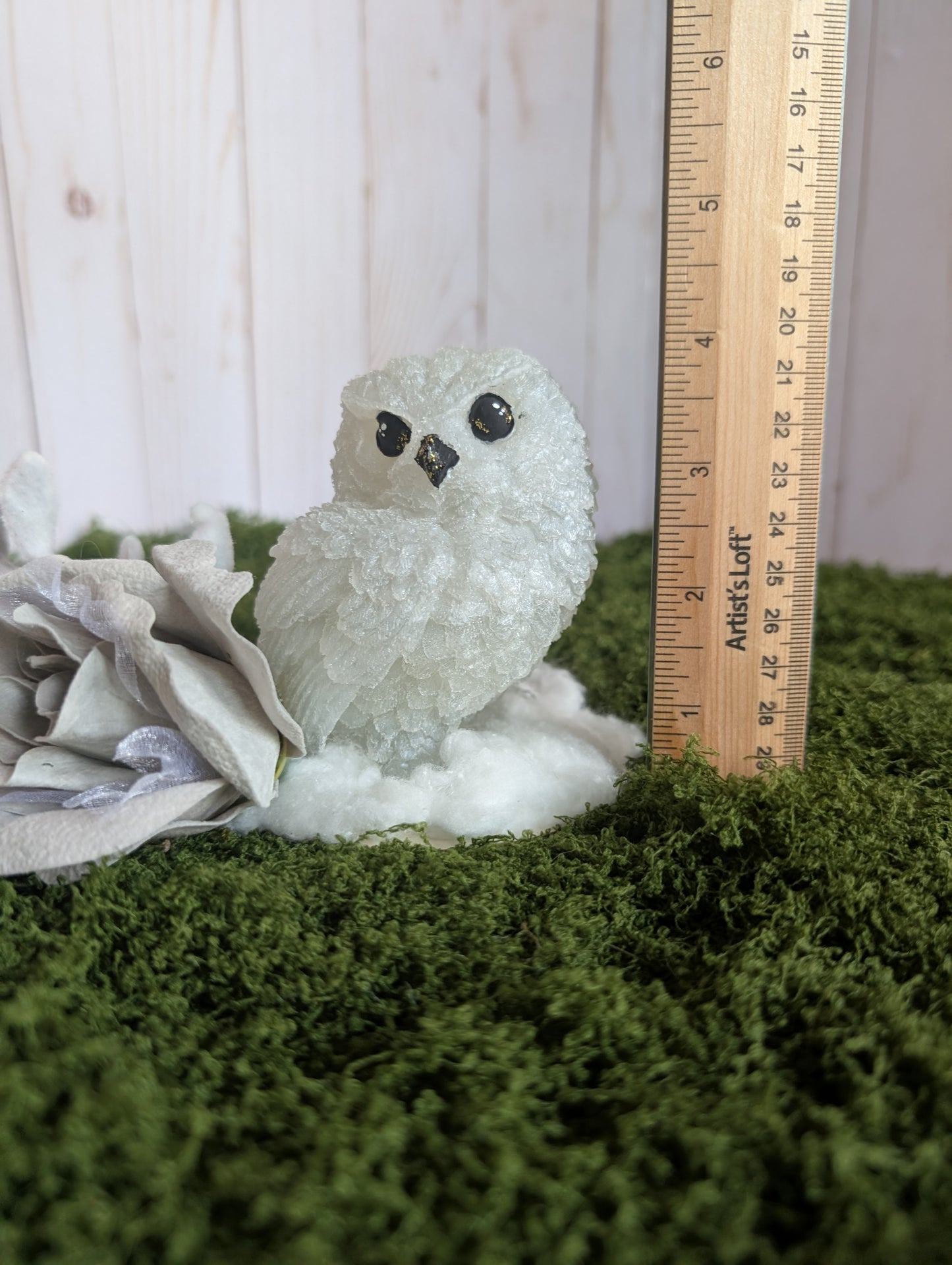 Snowy Owl