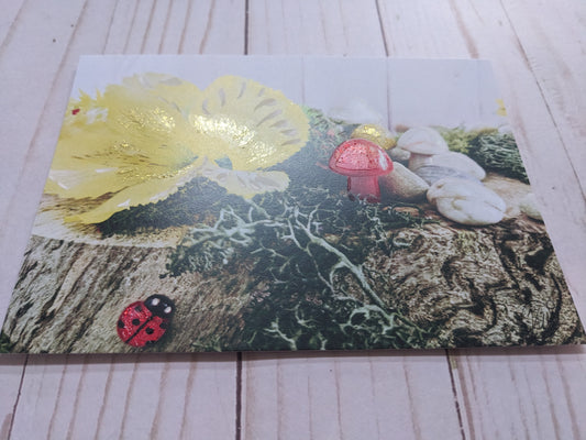 Ladybug and Mushrooms 1 hand detailed 5x7 print