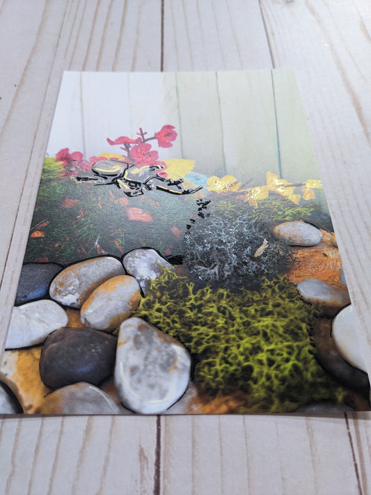 Japanese Rhinoceros Beetle 4 hand detailed 5x7 print