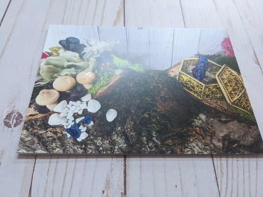 Dinosaur Treasure Garden hand detailed 5x7 print