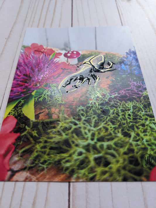 Hercules Beetle 3 hand detailed 5x7 print