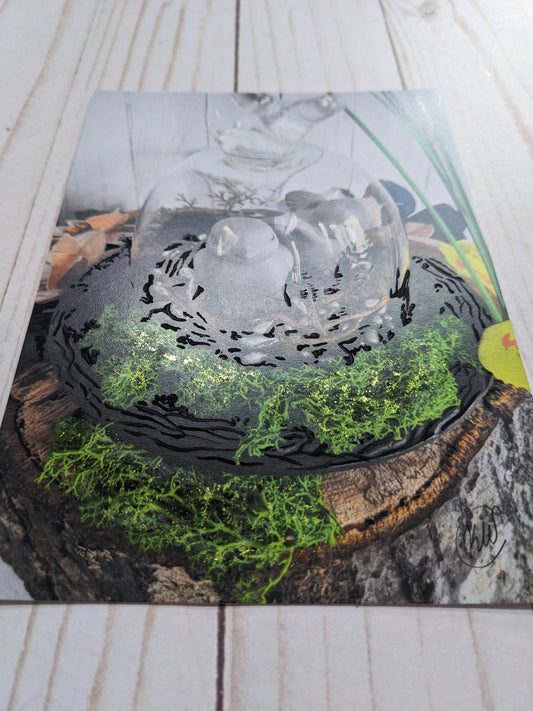Bird Nest Garden hand detailed 5x7 print