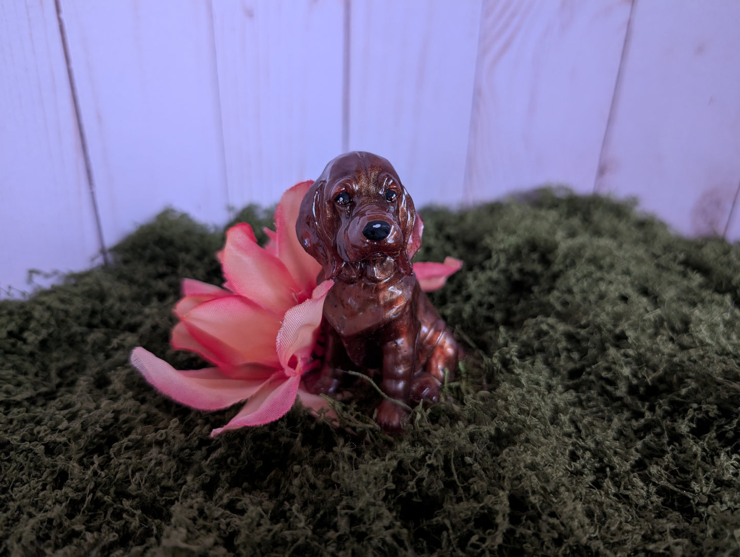 Brown Hound Pup