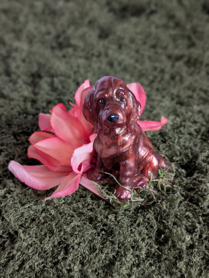 Brown Hound Pup