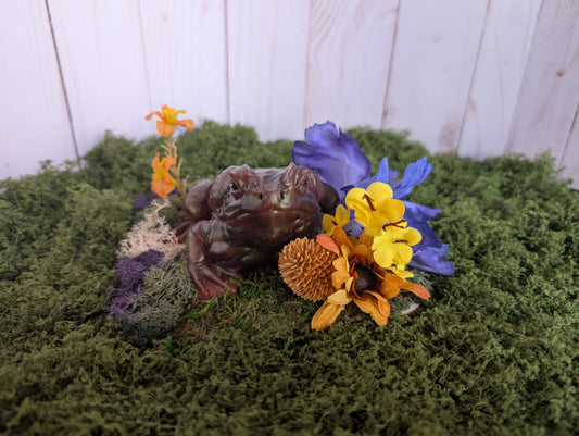 Brown Toad Garden