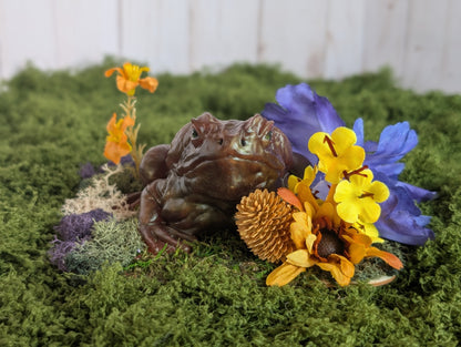 Brown Toad Garden