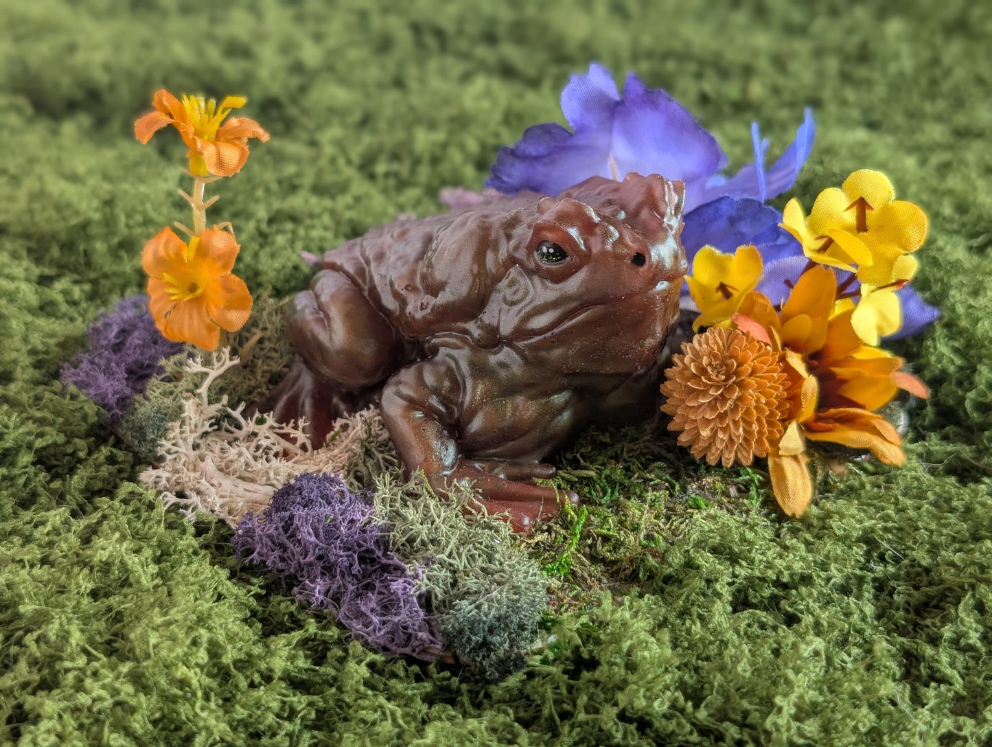 Brown Toad Garden