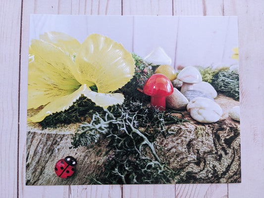 Ladybug and Mushrooms 1 hand detailed 8x10 print