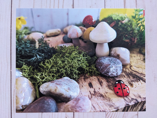 Ladybug and Mushrooms 2 hand detailed 8x10 print