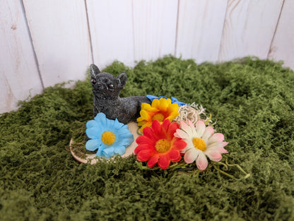 Love Chihuahuas Garden in Black & Daisy