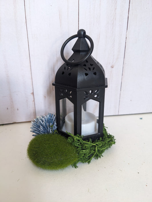 Thistle Lantern