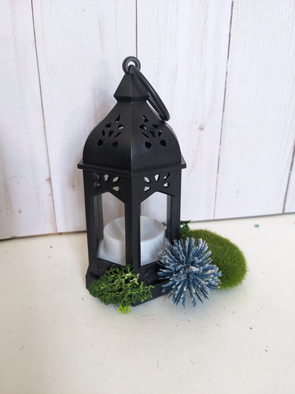 Thistle Lantern