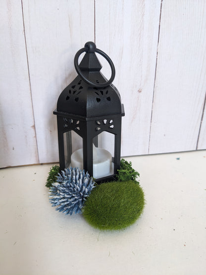 Thistle Lantern