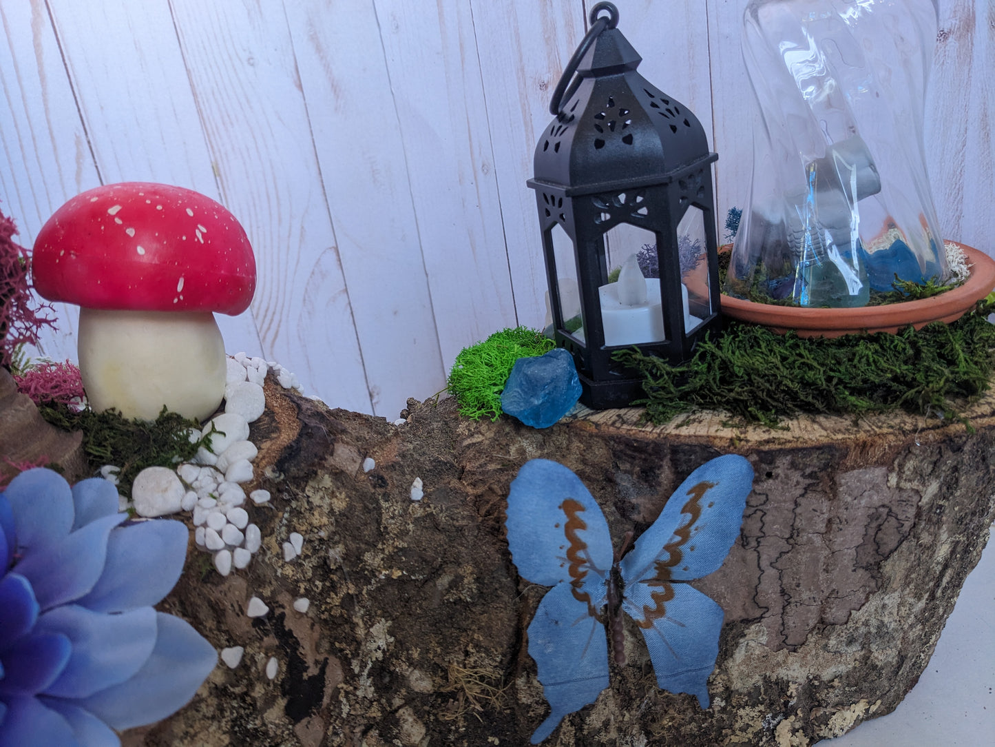 Hiding Snail Fae Garden