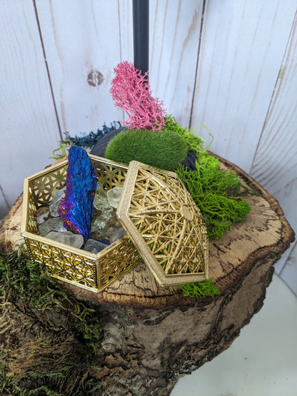 Dinosaur Treasure Fae Garden