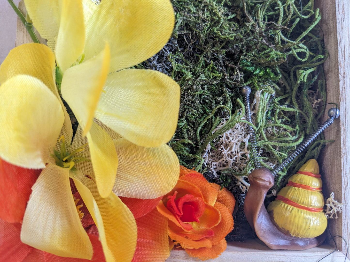 Hanging Mini Snail Garden